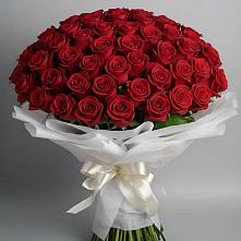 Букет 101 Красная роза Блэк Мэджик во Фряново