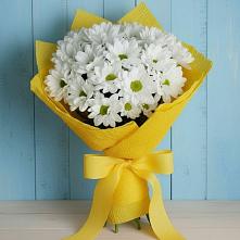 Букет цветов из:  Хризантемы #REPLACE_PRED# Фряново