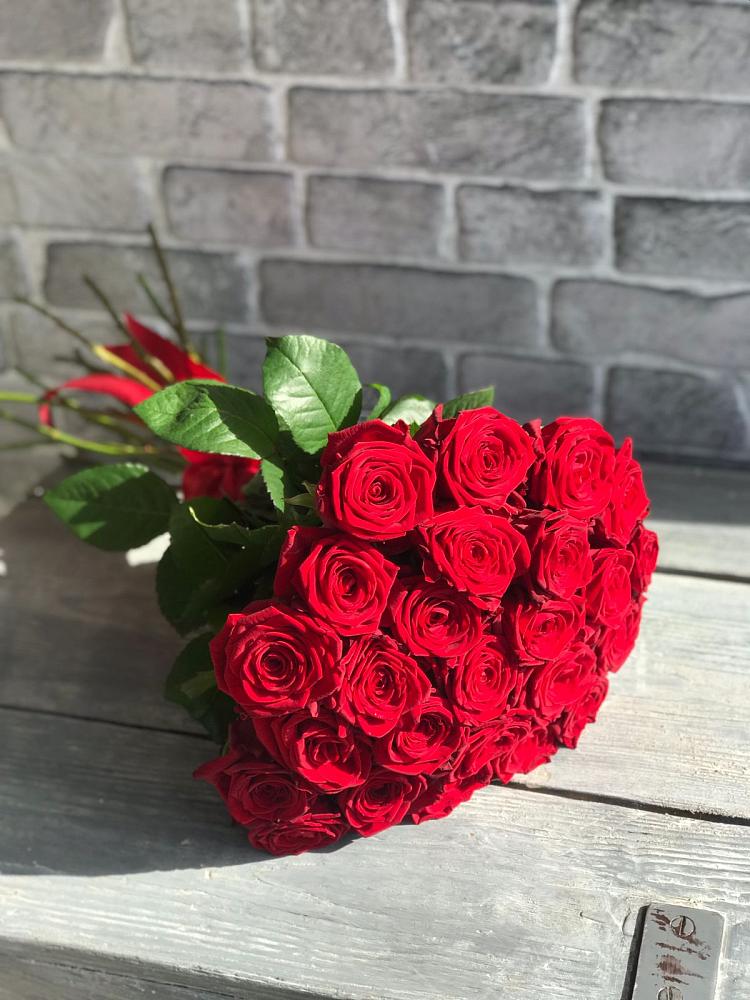 Букет Красные розы Фридом во Фряново
