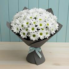 Букет цветов из:  Хризантемы #REPLACE_PRED# Фряново
