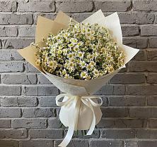 Букет цветов из:  Ромашки #REPLACE_PRED# Фряново