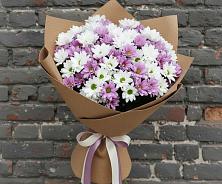 Букет цветов из:  Хризантемы #REPLACE_PRED# Фряново