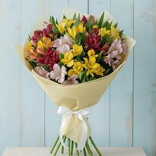 Букет цветов из:  Альстромерии во Фряново