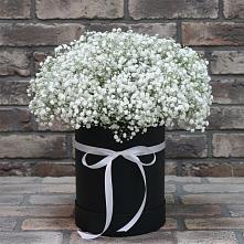 Цветочная композиция из Гипсофила в шляпной коробке во Фряново