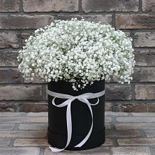 Цветочная композиция из Гипсофила в шляпной коробке во Фряново