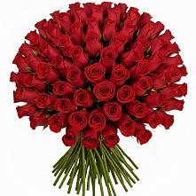 Букет Красные розы Чери Лав во Фряново