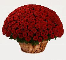 Премиум букет из: Розы во Фряново