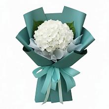 Букет цветов из:  Гортензия #REPLACE_PRED# Фряново